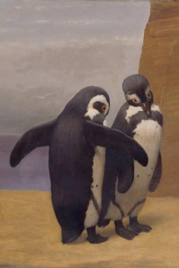 Penguin Island