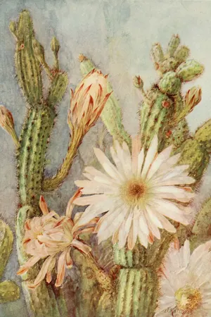 The Land of Little Rain