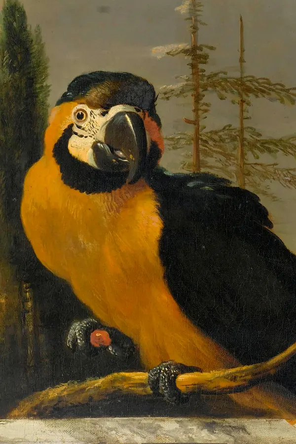 The Voyages of Doctor Dolittle