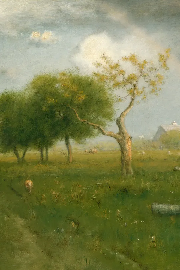 The Able McLaughlins