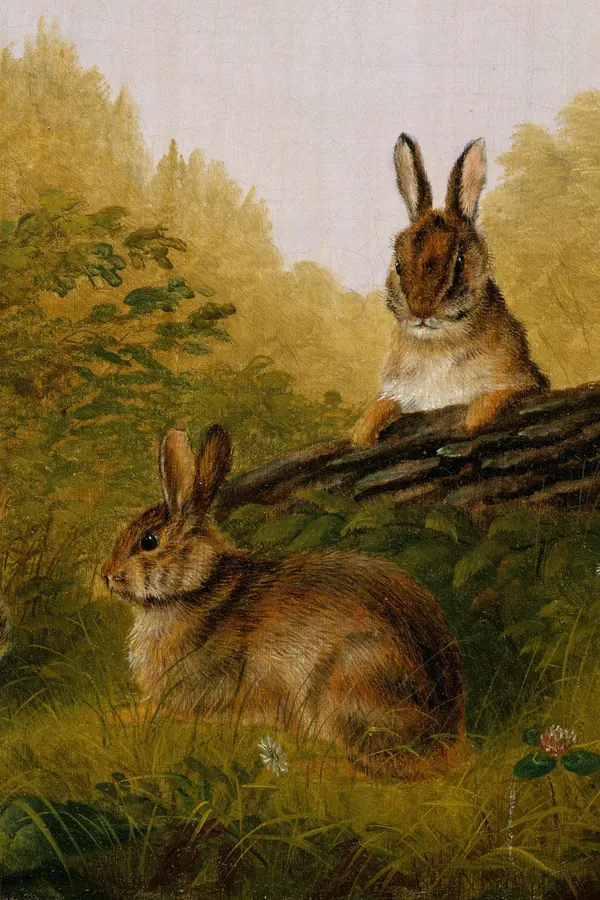 Green Meadow Stories