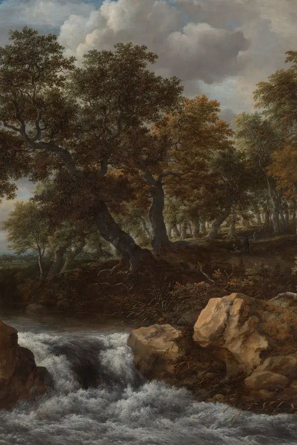 The House Without Windows